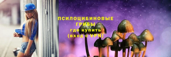 PSILOCYBIN Переславль-Залесский