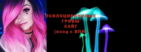 PSILOCYBIN Переславль-Залесский