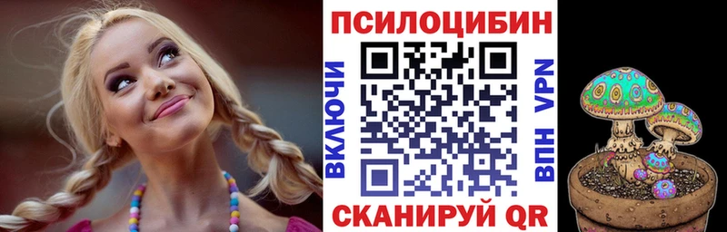 Купить  Полтавская  Псилоцибиновые грибы Psilocybe 